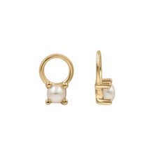 Load image into Gallery viewer, EARRING CHARMS